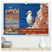 Vögel auf rotem Fels - Helgolands grandiose Vogelwelt (hochwertiger Premium Wandkalender 2024 DIN A2 quer), Kunstdruck in Hochglanz