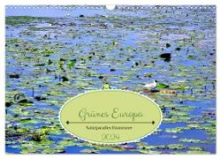 Grünes Europa - Naturparadies Drausensee (Wandkalender 2024 DIN A3 quer), CALVENDO Monatskalender