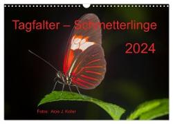 Tagfalter Schmetterlinge (Wandkalender 2024 DIN A3 quer), CALVENDO Monatskalender