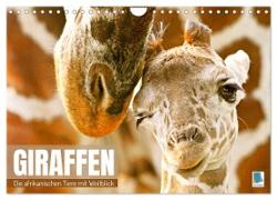 Giraffen: die afrikanischen Tiere mit Weitblick (Wandkalender 2024 DIN A4 quer), CALVENDO Monatskalender