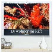 Bewohner im Riff (hochwertiger Premium Wandkalender 2024 DIN A2 quer), Kunstdruck in Hochglanz