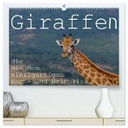 Giraffen - Tiere mit dem einzigartigen Hoch- und Weitblick (hochwertiger Premium Wandkalender 2024 DIN A2 quer), Kunstdruck in Hochglanz