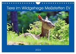 Tiere im Wildgehege Meßstetten EV (Wandkalender 2024 DIN A4 quer), CALVENDO Monatskalender