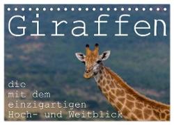 Giraffen - Tiere mit dem einzigartigen Hoch- und Weitblick (Tischkalender 2024 DIN A5 quer), CALVENDO Monatskalender