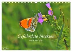 Gefährdete Insekten - unsere Nützlinge (Wandkalender 2024 DIN A3 quer), CALVENDO Monatskalender