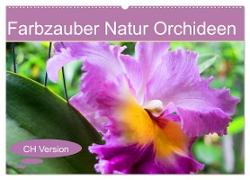 Farbzauber Natur Orchideen - CH Version (Wandkalender 2024 DIN A2 quer), CALVENDO Monatskalender