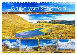 Grüße vom Schönfeld (Wandkalender 2024 DIN A3 quer), CALVENDO Monatskalender