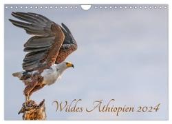 Wildes Äthiopien (Wandkalender 2024 DIN A4 quer), CALVENDO Monatskalender