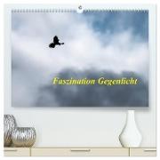 Faszination Gegenlicht (hochwertiger Premium Wandkalender 2024 DIN A2 quer), Kunstdruck in Hochglanz