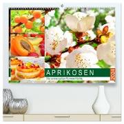 Aprikosen. Die sonnengelben Sommerfrüchte (hochwertiger Premium Wandkalender 2024 DIN A2 quer), Kunstdruck in Hochglanz