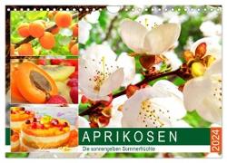 Aprikosen. Die sonnengelben Sommerfrüchte (Wandkalender 2024 DIN A4 quer), CALVENDO Monatskalender