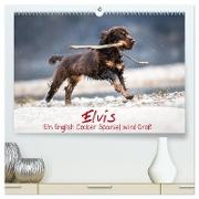 Elvis ein Engl. Cocker Spaniel wird Groß (hochwertiger Premium Wandkalender 2024 DIN A2 quer), Kunstdruck in Hochglanz