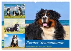 Berner Sennenhunde - Traumhunde mit Charme (Wandkalender 2024 DIN A2 quer), CALVENDO Monatskalender
