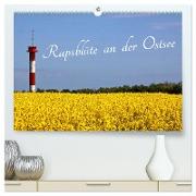 Rapsblüte an der Ostsee (hochwertiger Premium Wandkalender 2024 DIN A2 quer), Kunstdruck in Hochglanz
