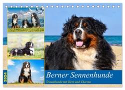 Berner Sennenhunde - Traumhunde mit Charme (Tischkalender 2024 DIN A5 quer), CALVENDO Monatskalender