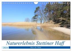 Naturerlebnis Stettiner Haff (Wandkalender 2024 DIN A4 quer), CALVENDO Monatskalender