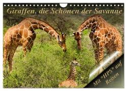 Giraffen, die Schönen der Savanne (Wandkalender 2024 DIN A4 quer), CALVENDO Monatskalender