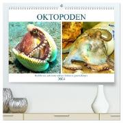 Oktopoden. Drei Herzen, acht Arme und das Gehirn im ganzen Körper (hochwertiger Premium Wandkalender 2024 DIN A2 quer), Kunstdruck in Hochglanz