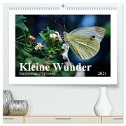 Kleine Wunder - Insekten und Spinnen (hochwertiger Premium Wandkalender 2024 DIN A2 quer), Kunstdruck in Hochglanz