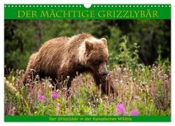 Der mächtige Gizzlybär (Wandkalender 2024 DIN A3 quer), CALVENDO Monatskalender