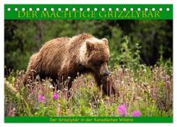 Der mächtige Gizzlybär (Tischkalender 2024 DIN A5 quer), CALVENDO Monatskalender