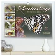 Schmetterlinge im Tropenparadies (hochwertiger Premium Wandkalender 2024 DIN A2 quer), Kunstdruck in Hochglanz