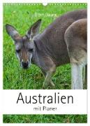 Australien mit Planer (Wandkalender 2024 DIN A3 hoch), CALVENDO Monatskalender