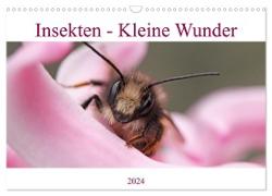 Insekten - Kleine Wunder (Wandkalender 2024 DIN A3 quer), CALVENDO Monatskalender