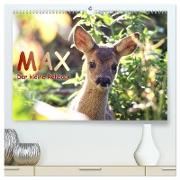 Max, der kleine Rehbock (hochwertiger Premium Wandkalender 2024 DIN A2 quer), Kunstdruck in Hochglanz