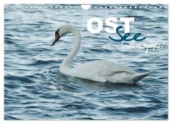 Ostsee - Urlaubsgefühl (Wandkalender 2024 DIN A4 quer), CALVENDO Monatskalender