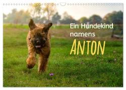 Ein Hundekind namens Anton (Wandkalender 2024 DIN A3 quer), CALVENDO Monatskalender