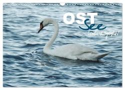 Ostsee - Urlaubsgefühl (Wandkalender 2024 DIN A3 quer), CALVENDO Monatskalender