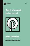 Sunt chemat la lucrare? (Am I Called to Ministry?) (Romanian)
