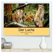 Der Luchs - Begegnungen mit einer Raubkatze (hochwertiger Premium Wandkalender 2024 DIN A2 quer), Kunstdruck in Hochglanz