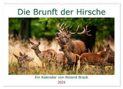 Die Brunft der Hirsche (Wandkalender 2024 DIN A2 quer), CALVENDO Monatskalender