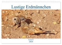 Lustige Erdmännchen (Wandkalender 2024 DIN A2 quer), CALVENDO Monatskalender