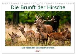 Die Brunft der Hirsche (Wandkalender 2024 DIN A4 quer), CALVENDO Monatskalender