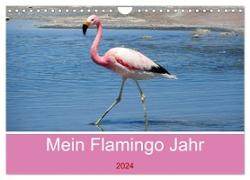 Mein Flamingo Jahr (Wandkalender 2024 DIN A4 quer), CALVENDO Monatskalender