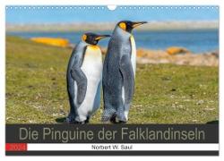 Die Pinguine der Falklandinseln (Wandkalender 2024 DIN A3 quer), CALVENDO Monatskalender