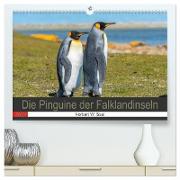 Die Pinguine der Falklandinseln (hochwertiger Premium Wandkalender 2024 DIN A2 quer), Kunstdruck in Hochglanz