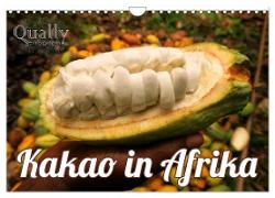 Kakao in Afrika (Wandkalender 2024 DIN A4 quer), CALVENDO Monatskalender