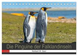 Die Pinguine der Falklandinseln (Tischkalender 2024 DIN A5 quer), CALVENDO Monatskalender