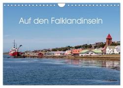 Auf den Falklandinseln (Wandkalender 2024 DIN A4 quer), CALVENDO Monatskalender