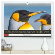 Königspinguine an der Bluff Cove (hochwertiger Premium Wandkalender 2024 DIN A2 quer), Kunstdruck in Hochglanz
