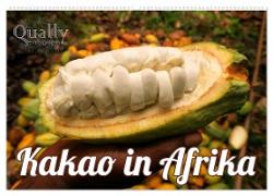 Kakao in Afrika (Wandkalender 2024 DIN A2 quer), CALVENDO Monatskalender