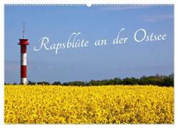 Rapsblüte an der Ostsee (Wandkalender 2024 DIN A2 quer), CALVENDO Monatskalender