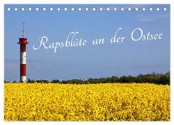 Rapsblüte an der Ostsee (Tischkalender 2024 DIN A5 quer), CALVENDO Monatskalender