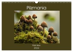 Pilzmania (Wandkalender 2024 DIN A3 quer), CALVENDO Monatskalender