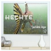 Hechte - perfekte Jäger (hochwertiger Premium Wandkalender 2024 DIN A2 quer), Kunstdruck in Hochglanz