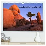 Versteinerte Landschaft (hochwertiger Premium Wandkalender 2024 DIN A2 quer), Kunstdruck in Hochglanz